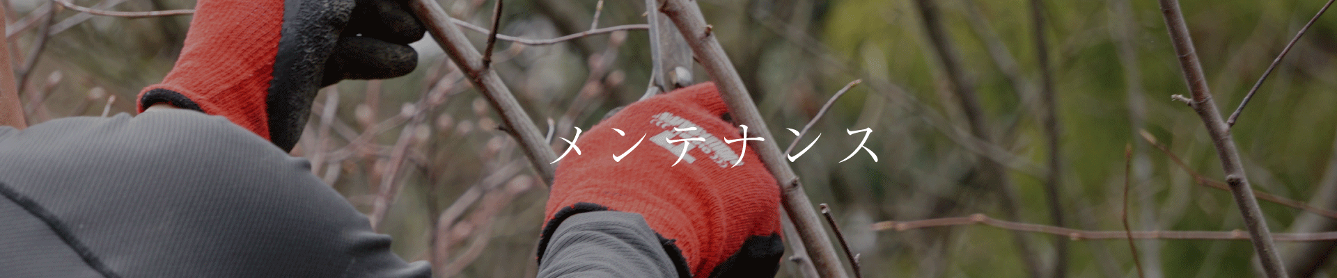 メンテナンス