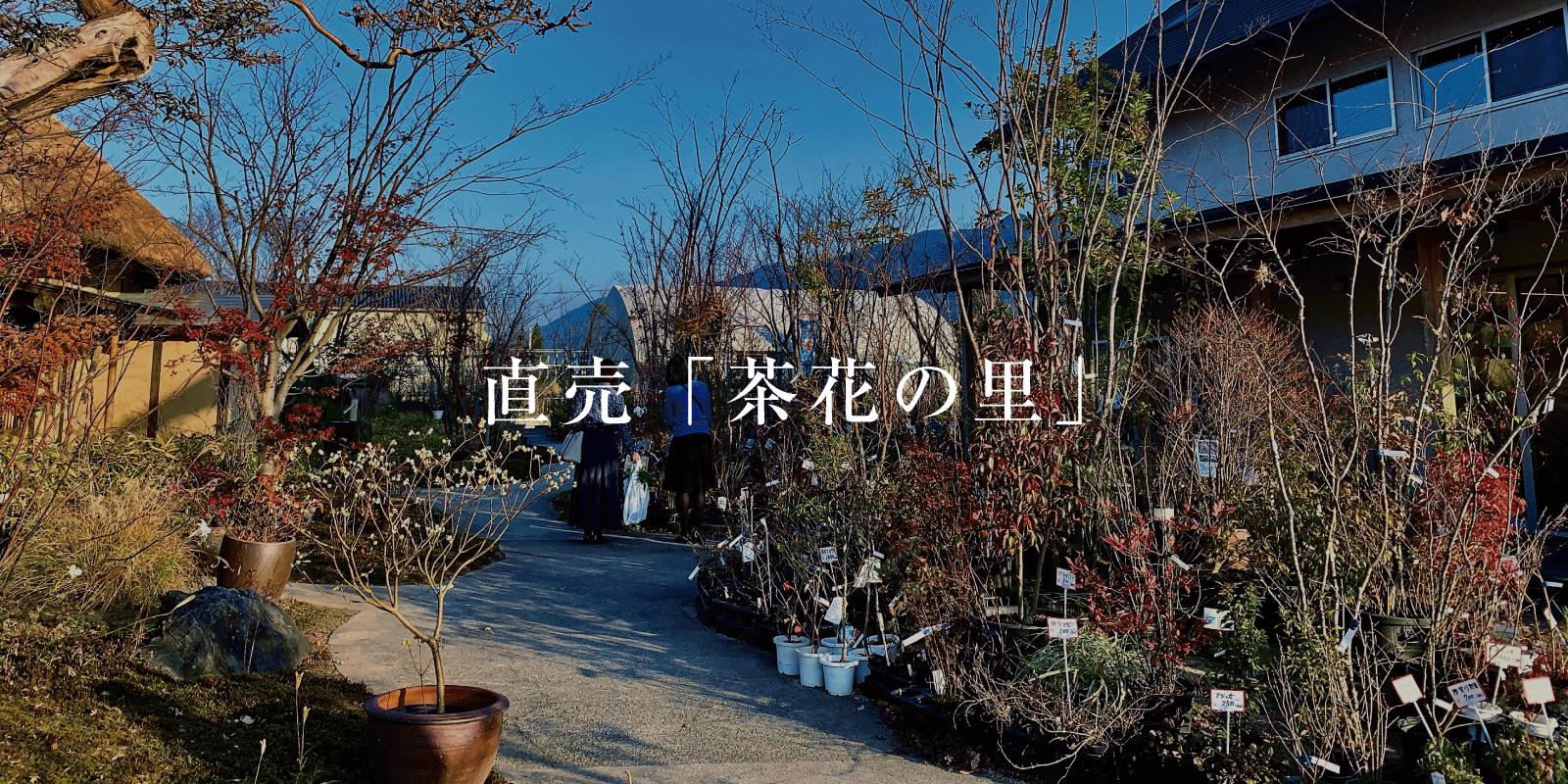 直売所 茶花の里 茶花の里