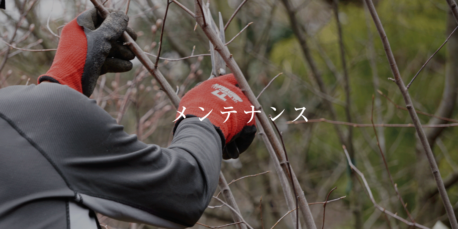 メンテナンス