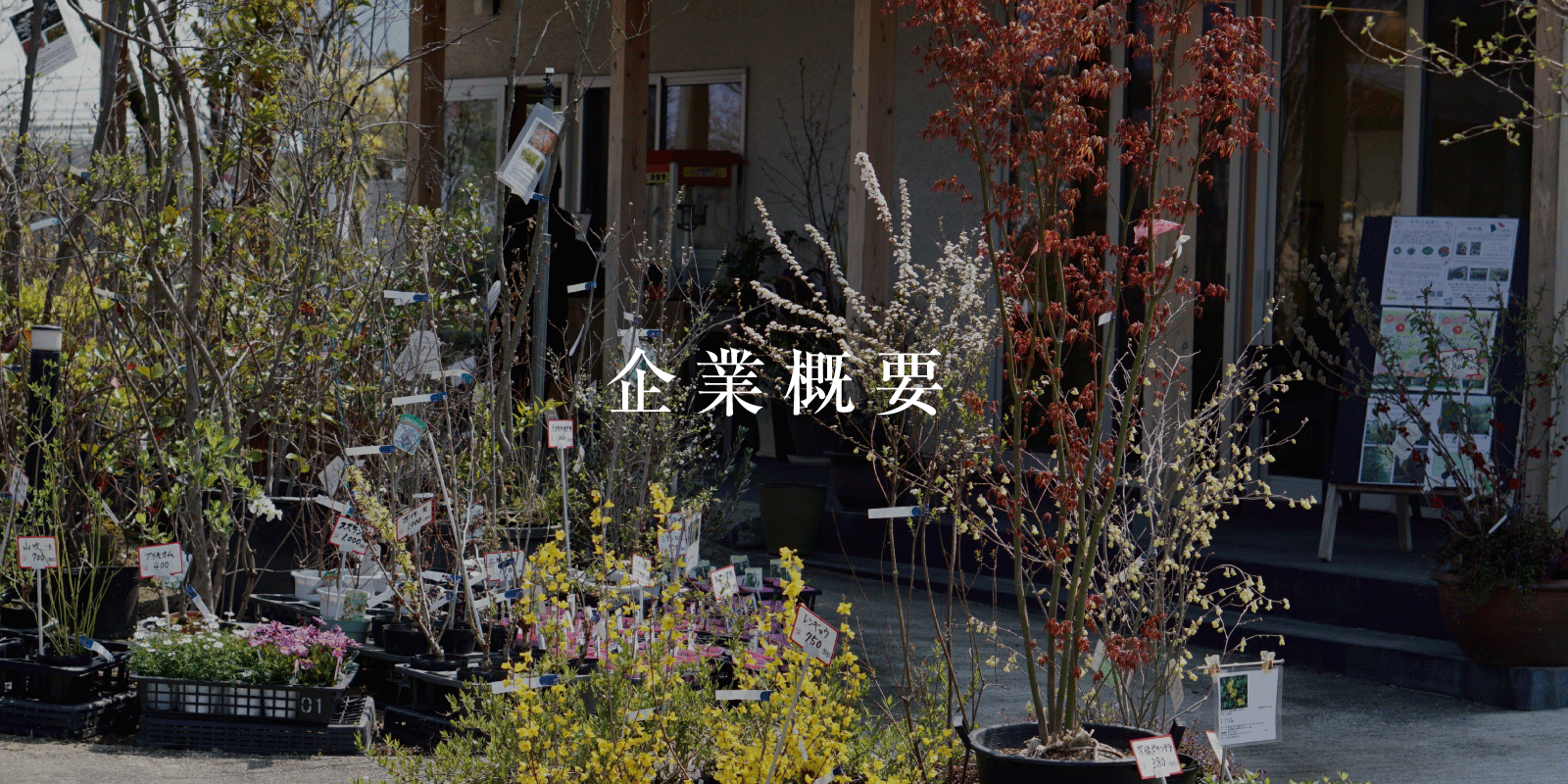 企業概要