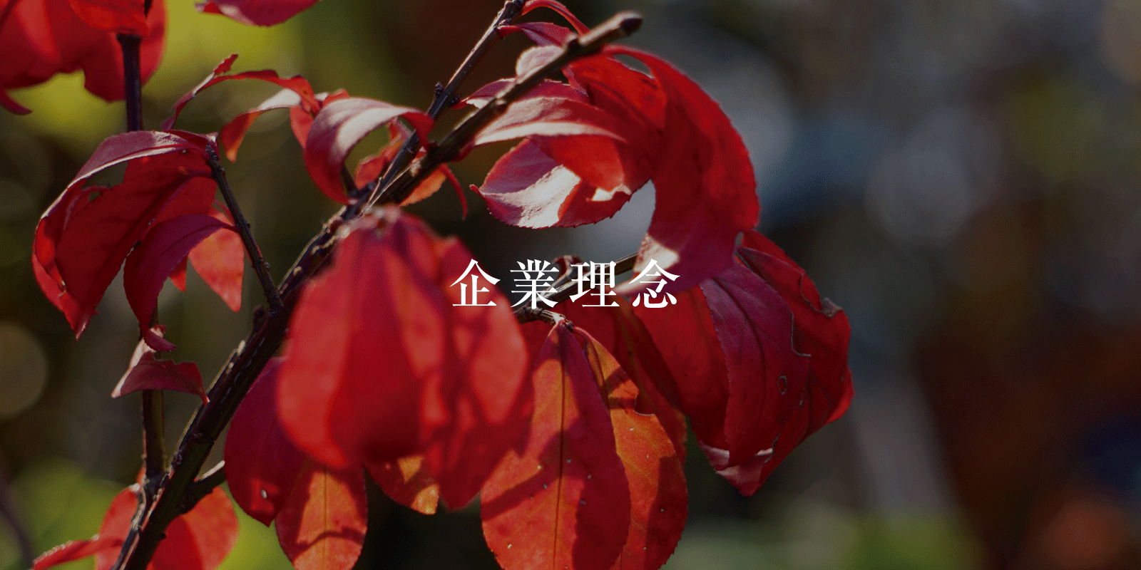 企業理念